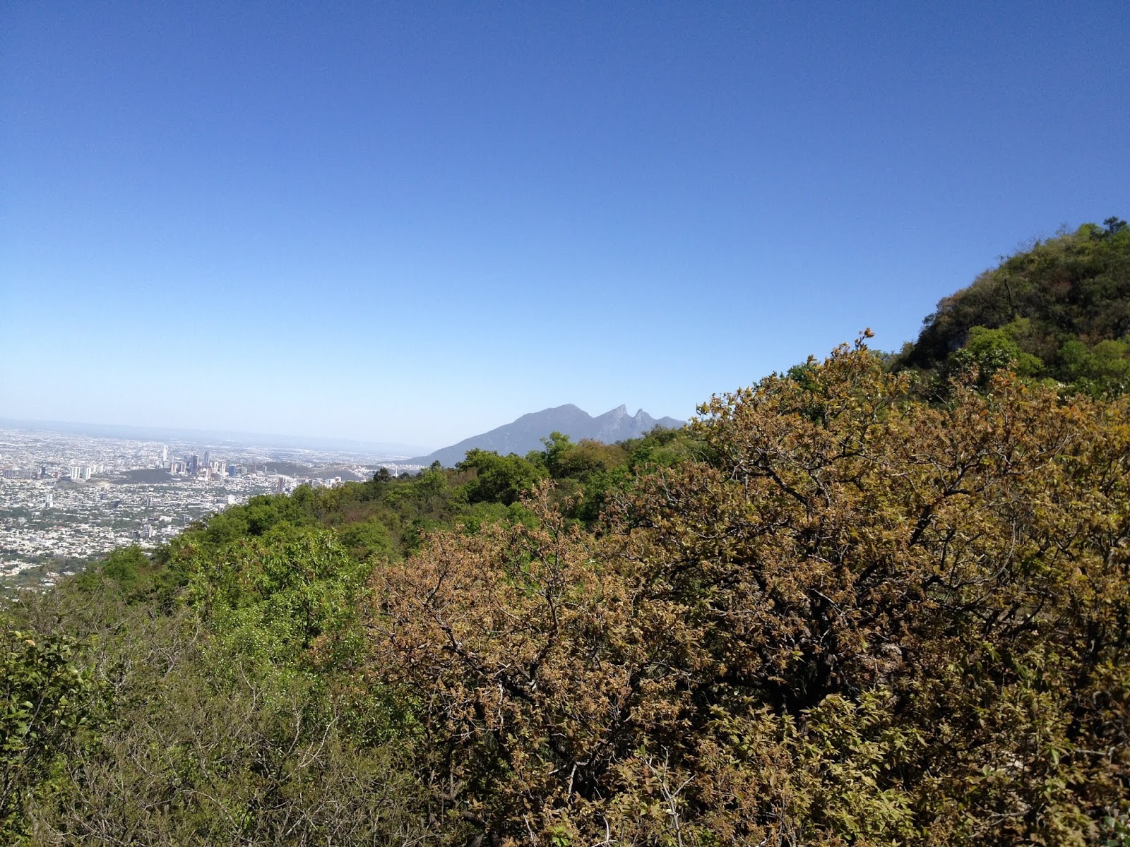 Sierra Madre Oriental - Cuarto POP