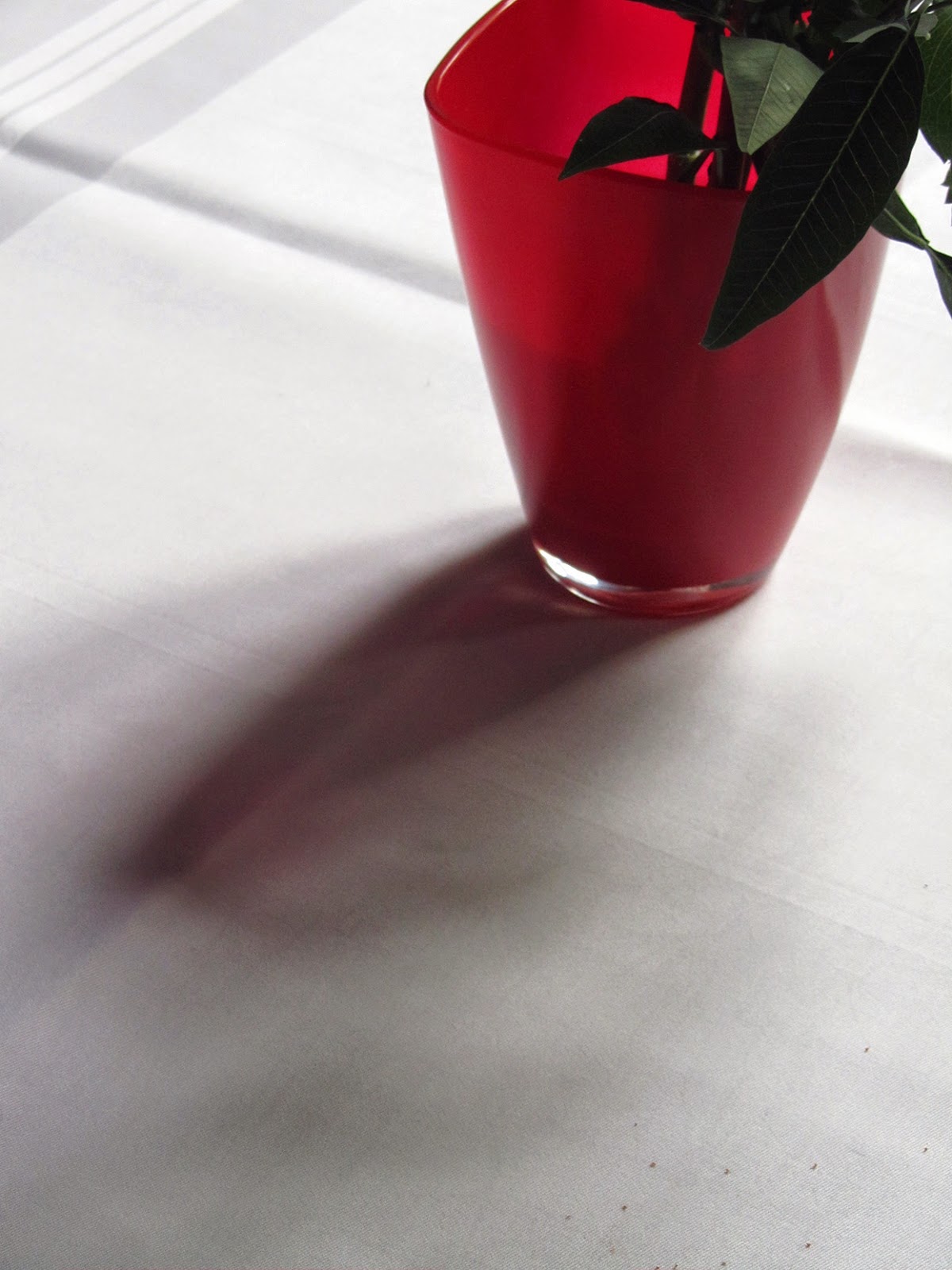 red vase and its shadow