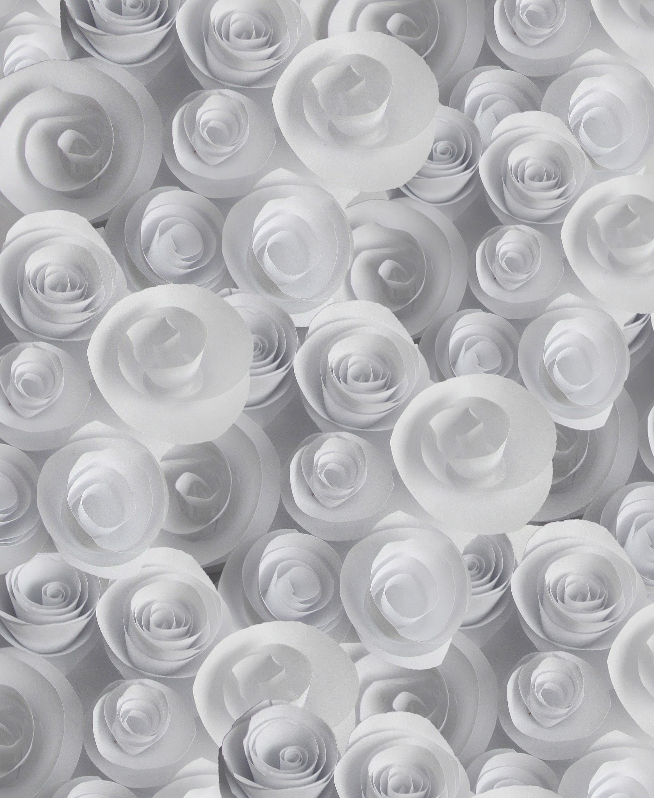 EMG Photography: Paper Roses