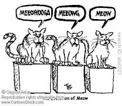 Evolution of the Cat's "Meow"