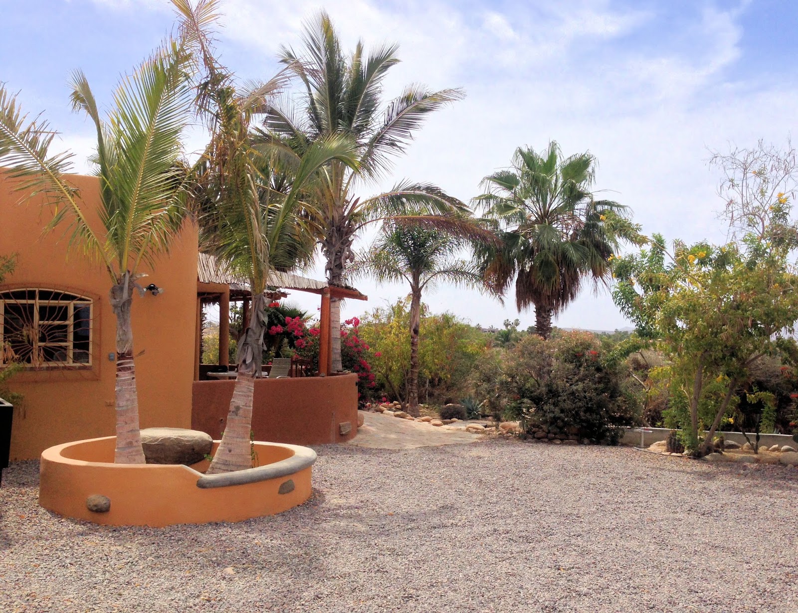 All This Is That Todos Santos (Baja California Sur)