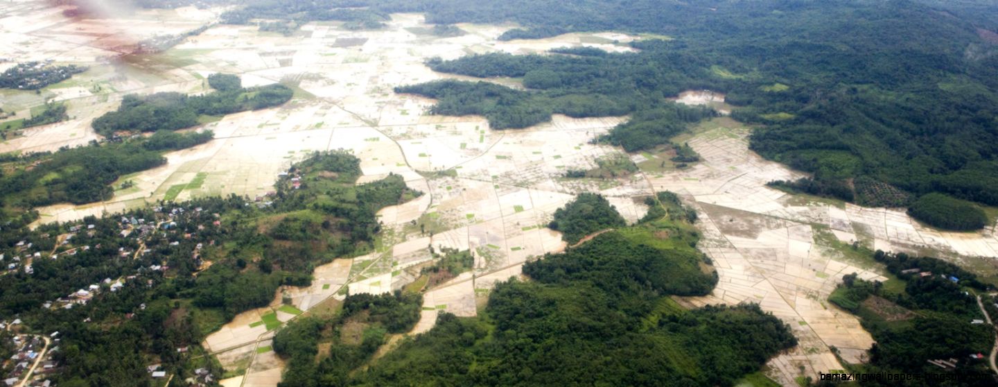 Deforestation  Threats  WWF