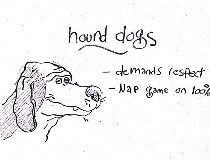Funny Comic Series That Will Help You Identify Most Dog Breeds