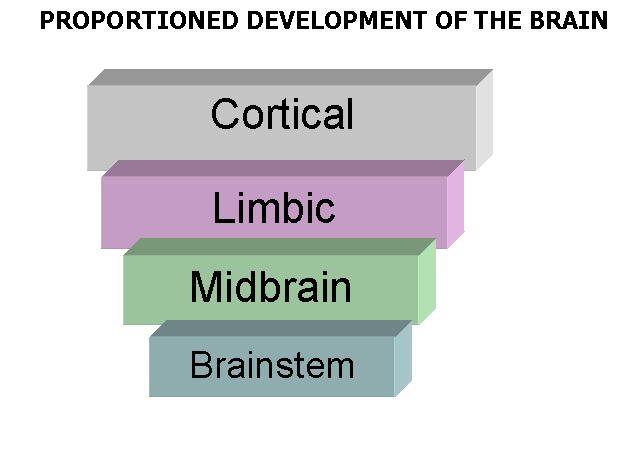 Baby Research Projects: The Power of Neglect