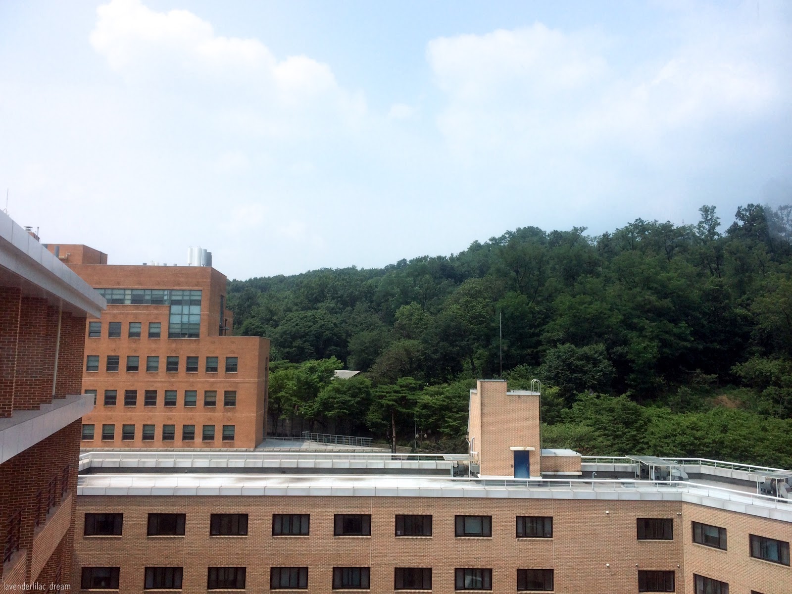 South Korea, Seoul, Sinchon, YISS 2014, Yonsei University, SK Global House, 7th floor view