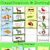 Animal Classification and Sorting Activity