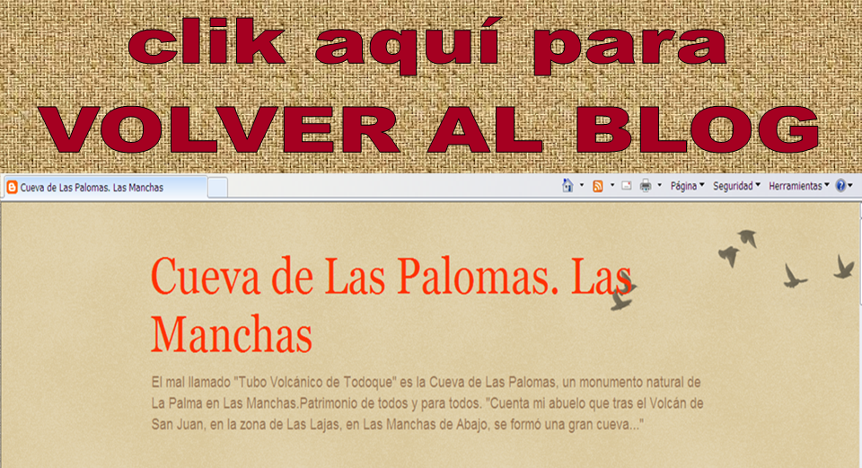 Volver al Blog Cueva de Las Palomas. Las Manchas