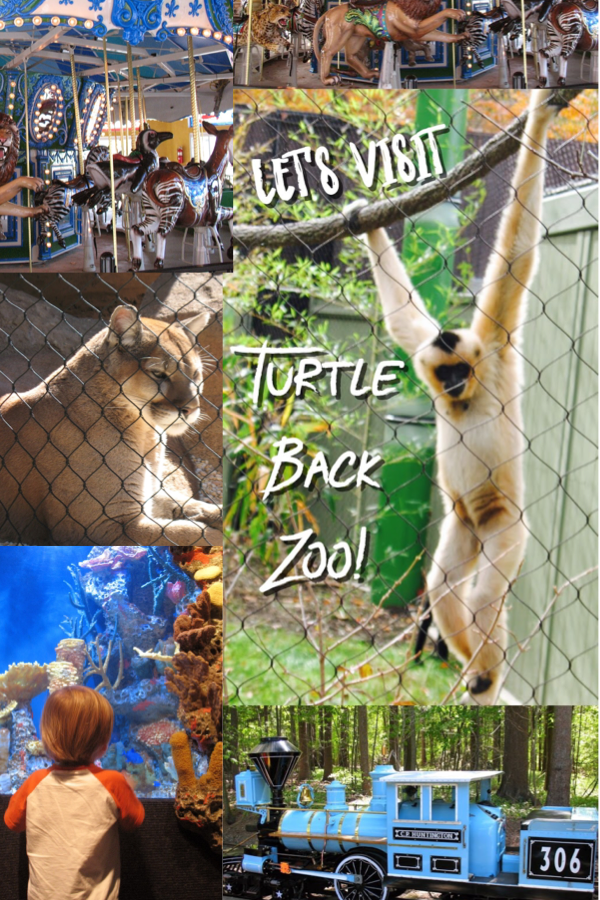 A Review of The Turtle Back Zoo Classic New Jersey Day Trips The