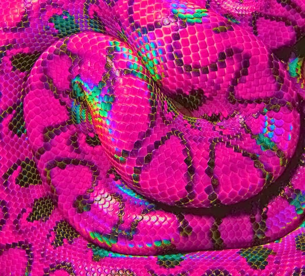 Itsy Bitsy Clumsy PINK SNAKE
