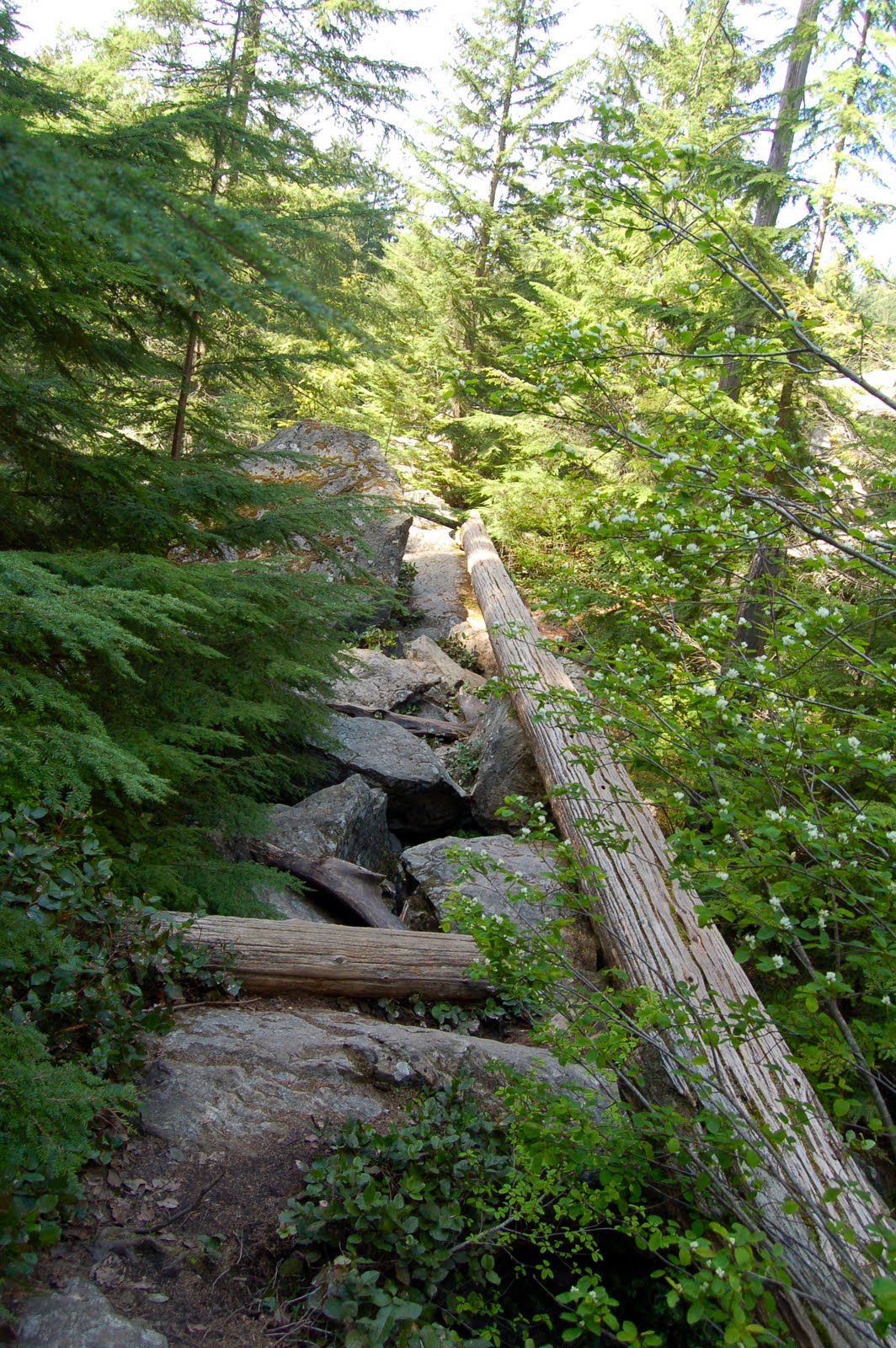 runvemrun in Hawaii Oyster Dome Hike