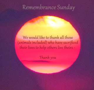  Remembrance - giving thanks to all animals who have sacrificed their lives to help others live theirs - - - thank you.