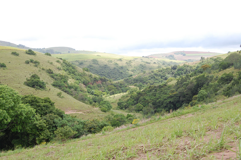 Dinosaurier Erobern Die Welt Stream
