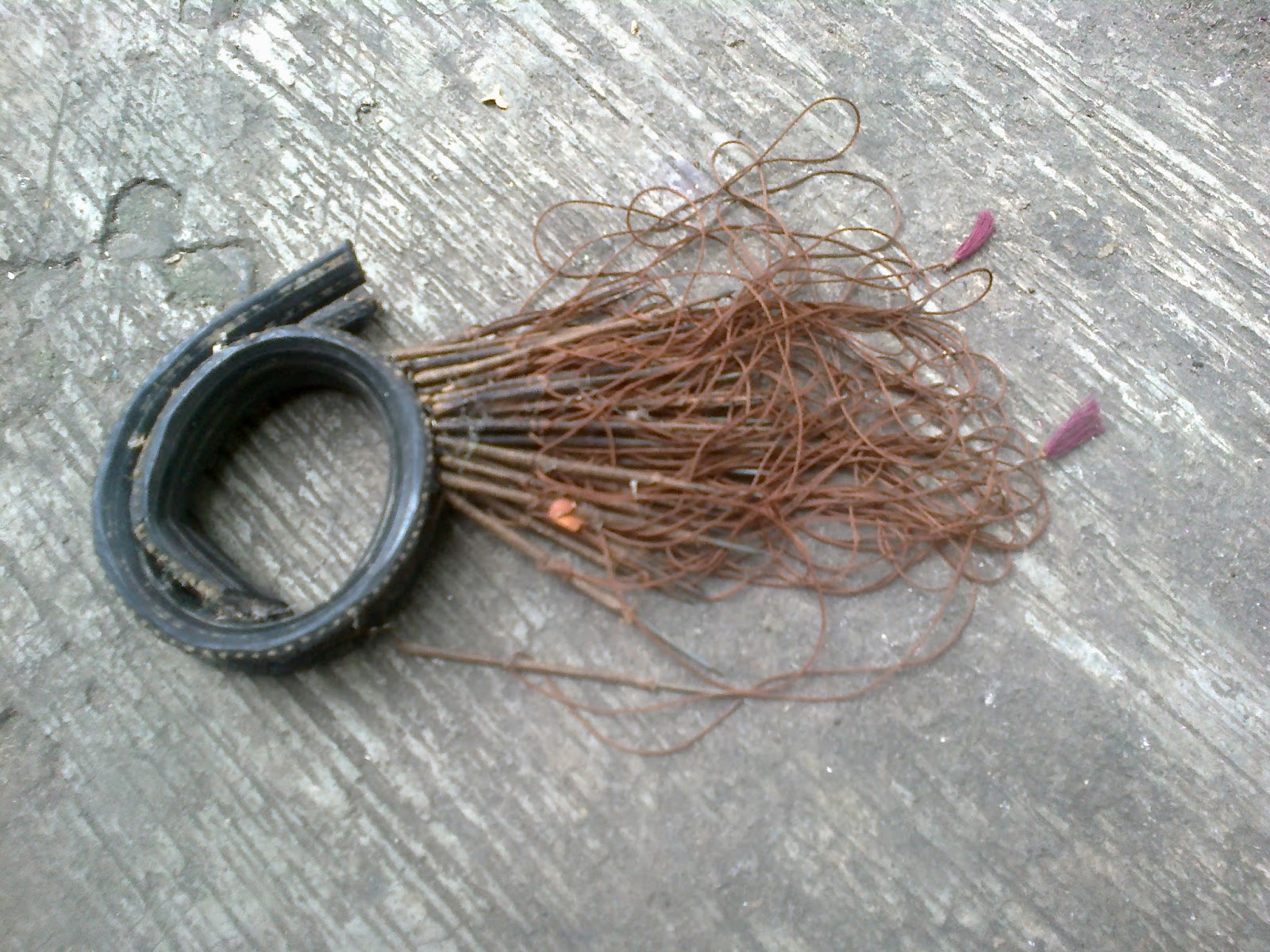 cara menjebakan burung tekukur pakai kenur pancingan