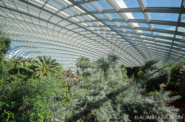 Singapore | Gardens by the Bay