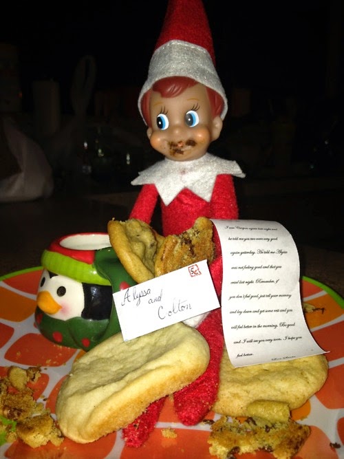 Amy's Daily Dose: How Does the Elf on The Shelf Travel And Other Crazy ...