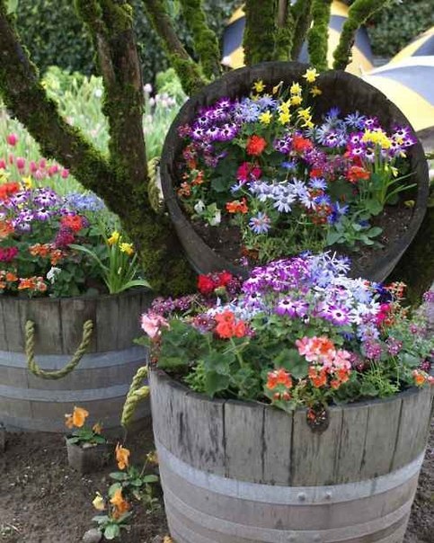 Garden decor ideas ~ English garden