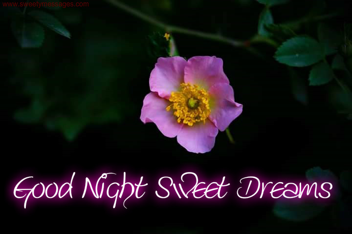 Arti Good Night And Have Nice Dream Good night and having a sweet dream.