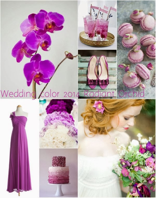 Color Palette 2014 Wedding Color Radiant Orchid Varese Wedding