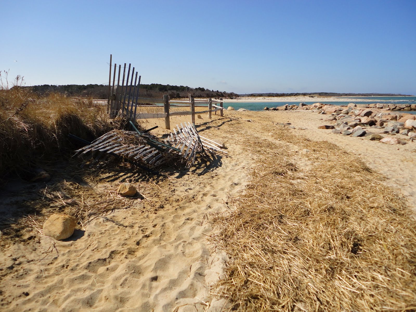 Cape Cod Washashore: Cape Cod Bay in the Spring