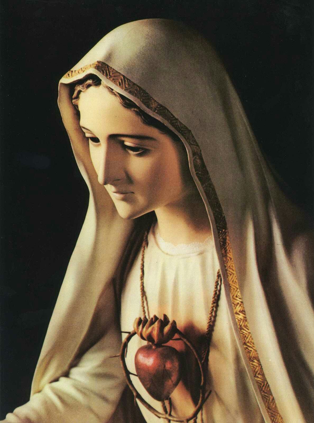 El Trochero: No es un simple 8 de diciembre... LA INMACULADA