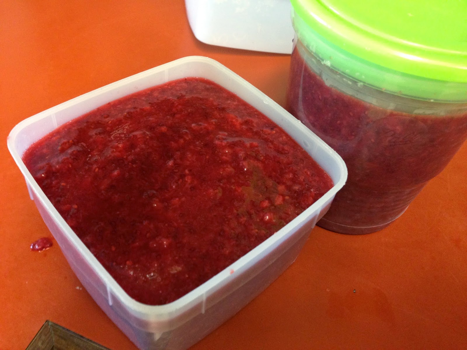 Mind Fitness Mom Sugar Free Strawberry Chia Seed Freezer Jam