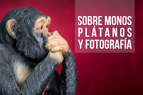 Sobre monos, plátanos y fotografía...