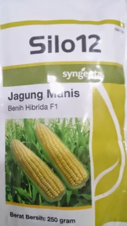 rasa manis, tahan bulai, tahan kresek,buah besar,umur genjah,benih,petani, Sg Seed, Syngenta