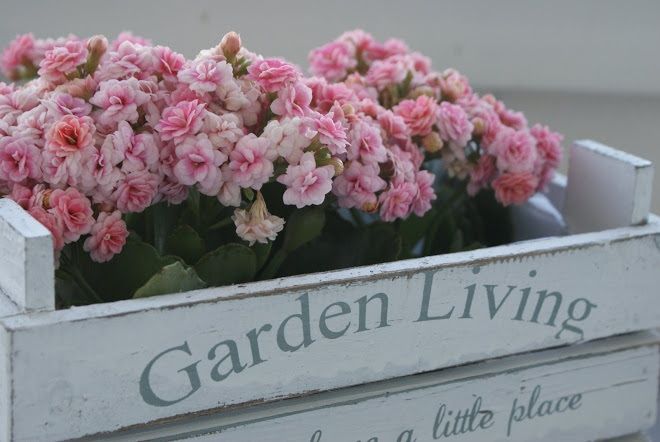 Reciclar cajas de frutas en la terraza
