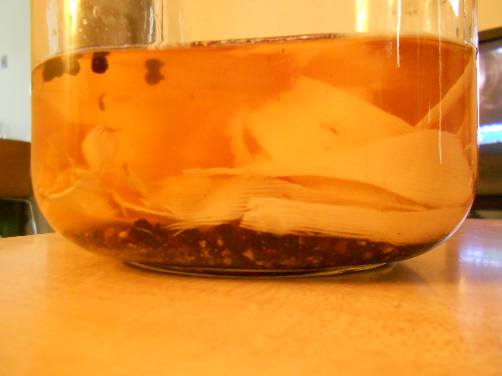 The Moody Foodie Horseradish Infused Vodka