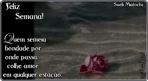 47907_d7005b494a4e5af5043545207b848ca7e9
