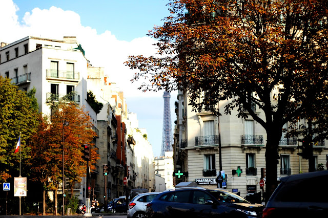 _MG_2006.jpg