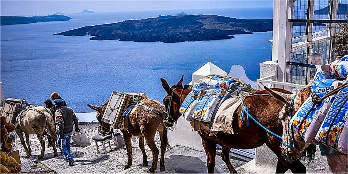 Asini di Santorini, Grecia
