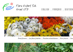 Flora Export S.G. Israel LTD new website version
