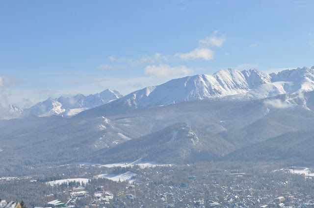 DSC_1535.JPG