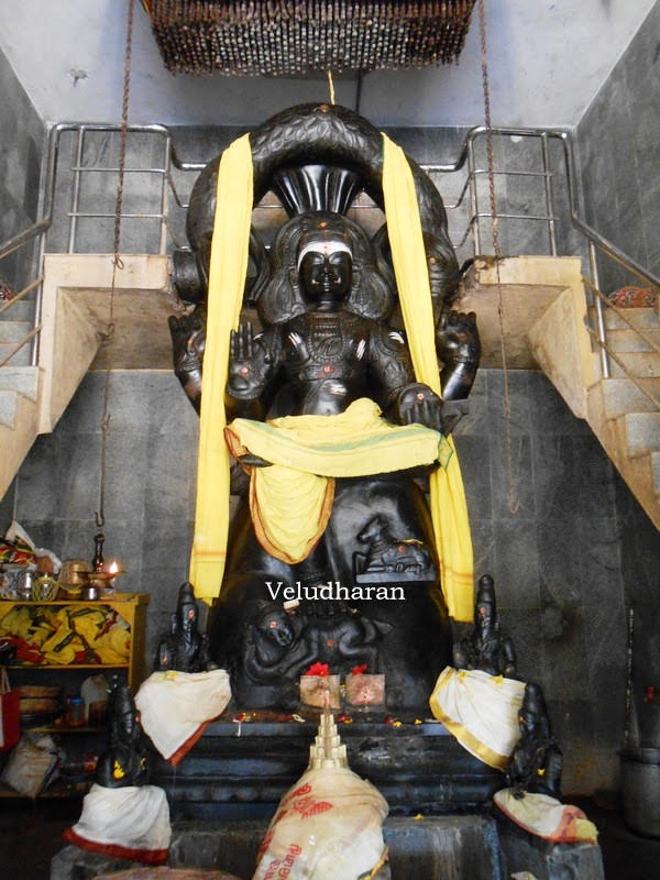 VELUDHARAN TEMPLES VISIT Sri Guru Bhagavan Temple / Dakshinamurthy