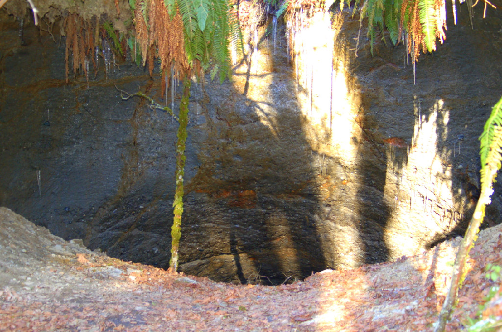 Newcastle (Red Town Coal Creek) Mining Towns