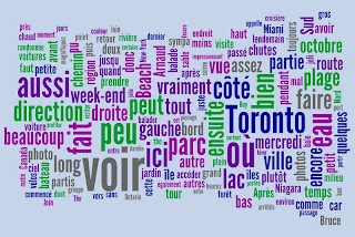 Wordle: Canadian experience