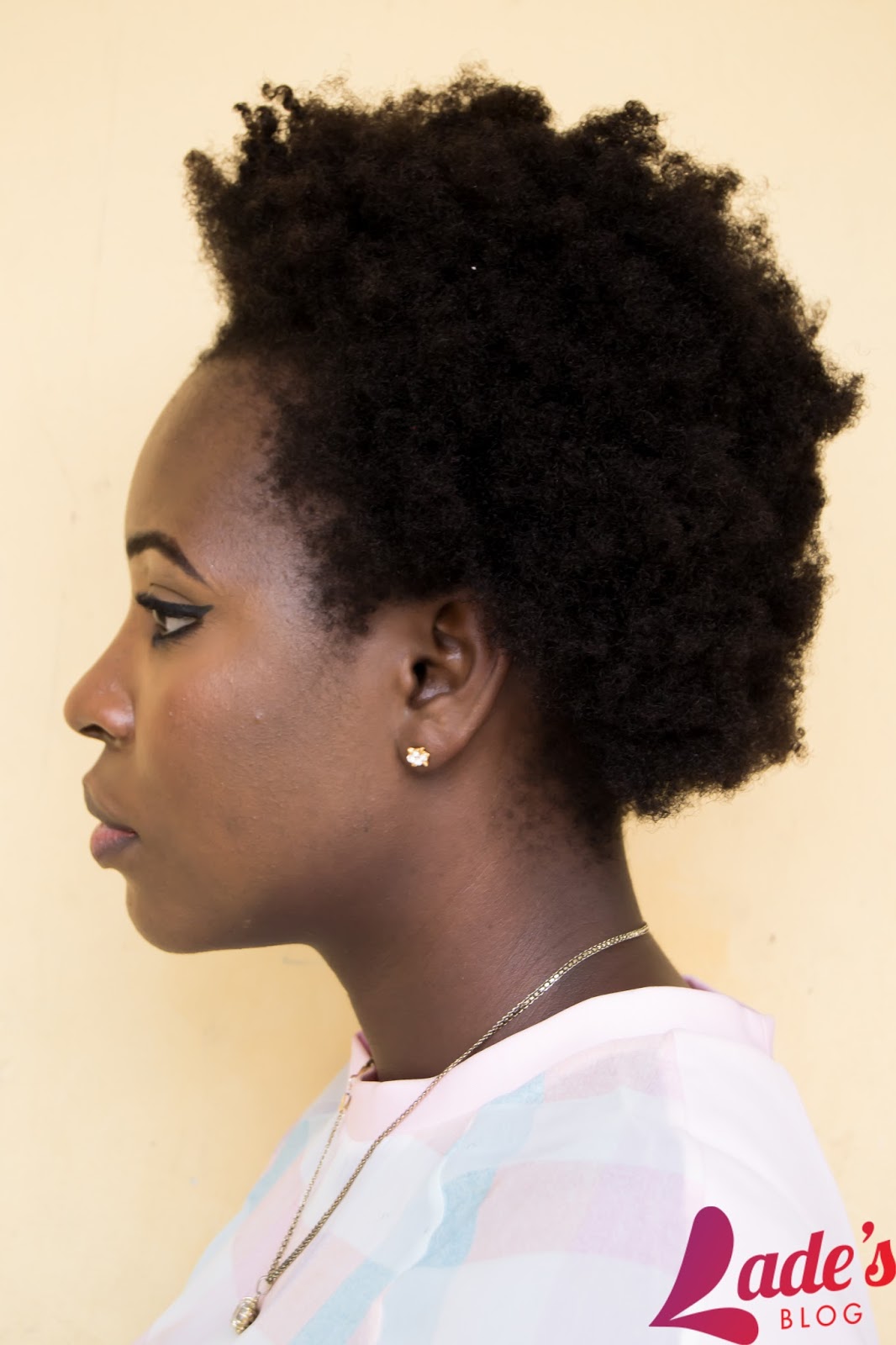 Lade S Blog 1 Year Natural Hair Length Check Product Check