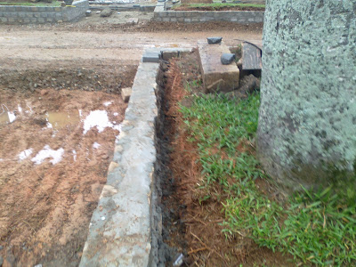 Comentarios e Opiniões Projeto de revitalização da Rua das Palmeiras (1)