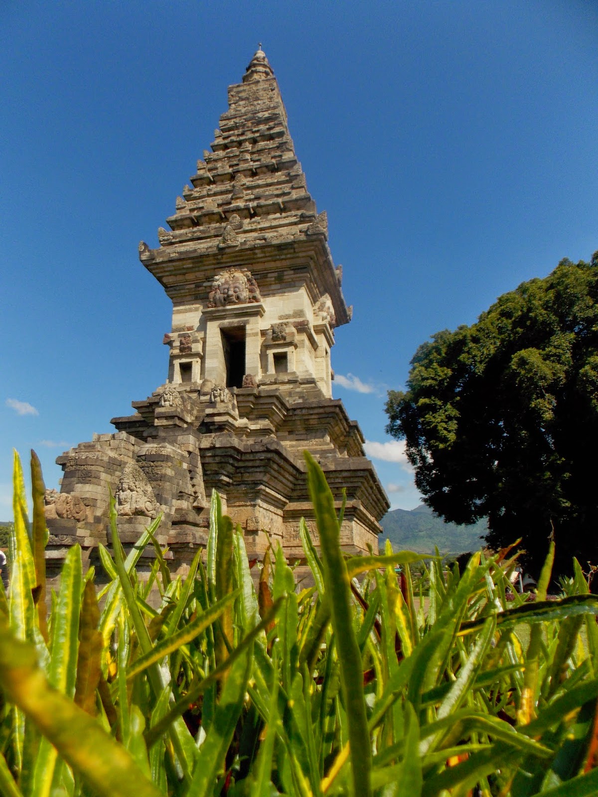 Melihat Pesona Sejarah Candi Jawi Di Kabutapaten Pasu - vrogue.co