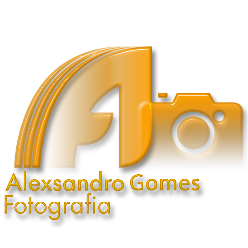 Alexsandro Gomes Fotografia  | Casamento - Aniversário - Gestante - 15 anos
