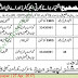 Jobs in District-Recuritment-Committee-Chiniot