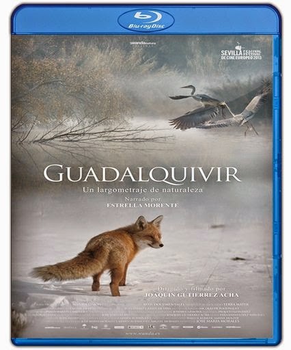 Extraordinario 2017 BRRip Full HD 1080p Latino-Ingles