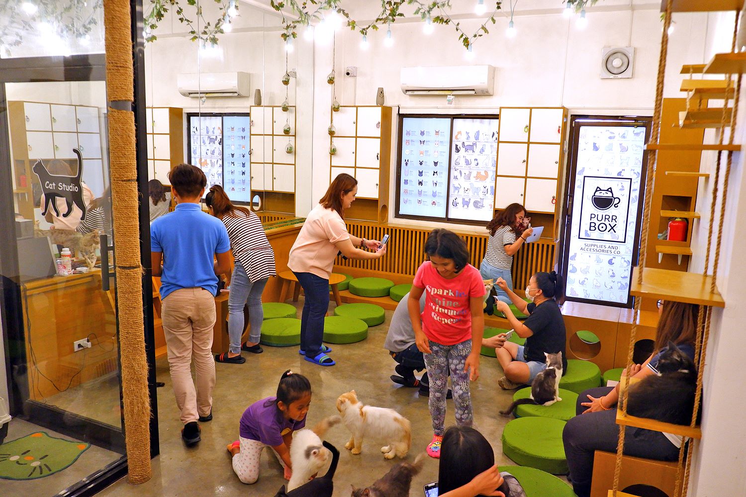 DAVAO FOODIE ONLINE: Chilling With The Felines at Davao City&#39;s first cat cafe, PurrBox Cafe: Supplies and Accessories Co.