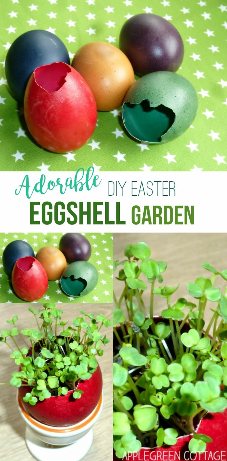 Easter Eggshell Garden AppleGreen Cottage