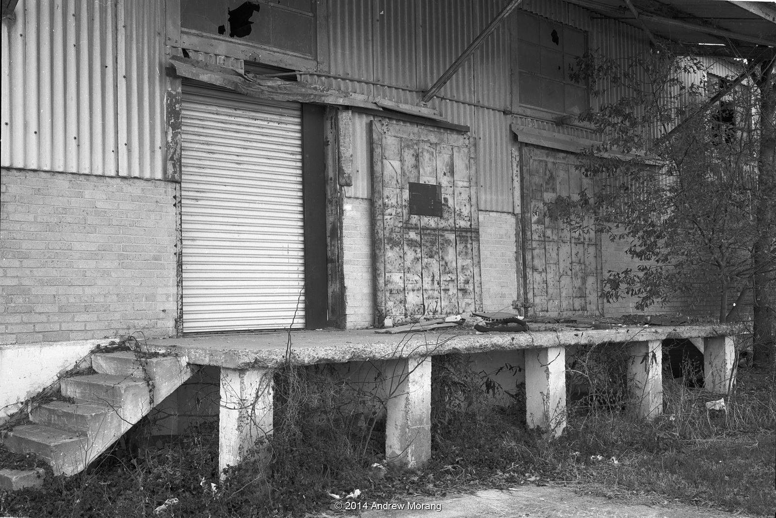 Urban Decay The Mississippi Delta 21 Drew