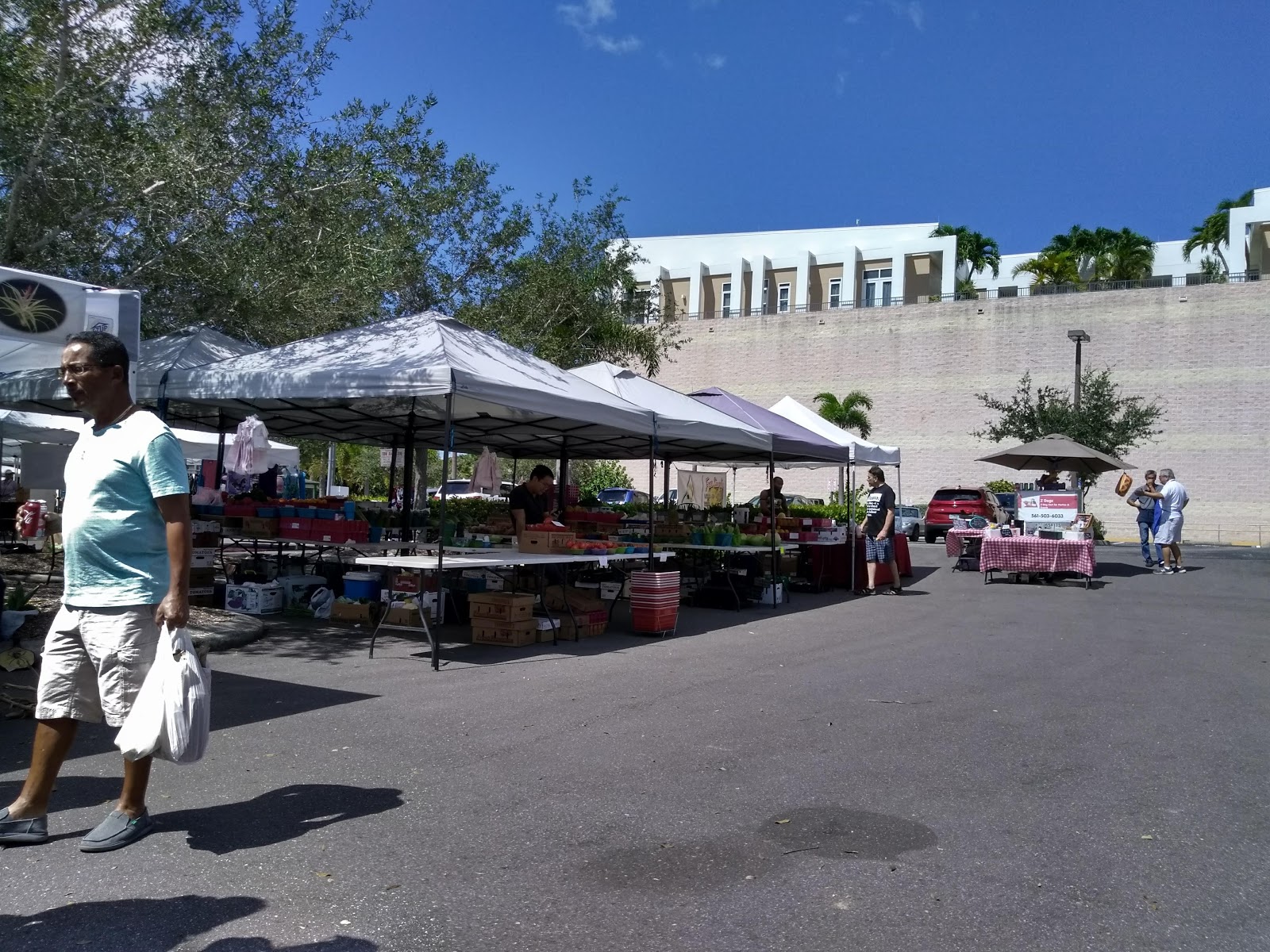 Speaking My Mind Farmer's Market in Punta Gorda Florida, every