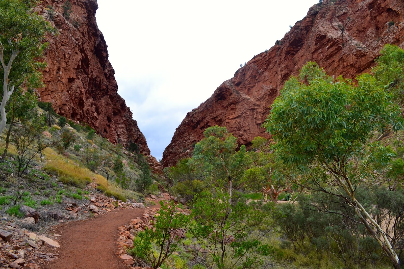 Goin' Feral One Day At A Time: Cassia Hill Circuit & Simpson Gap ...