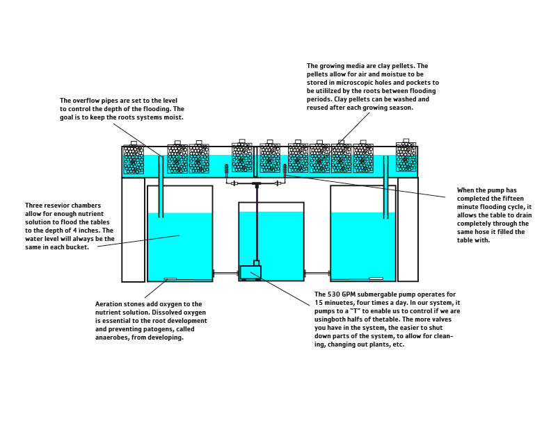 Design plans for the ebb and flow system. Our plan is to grow indoor ...
