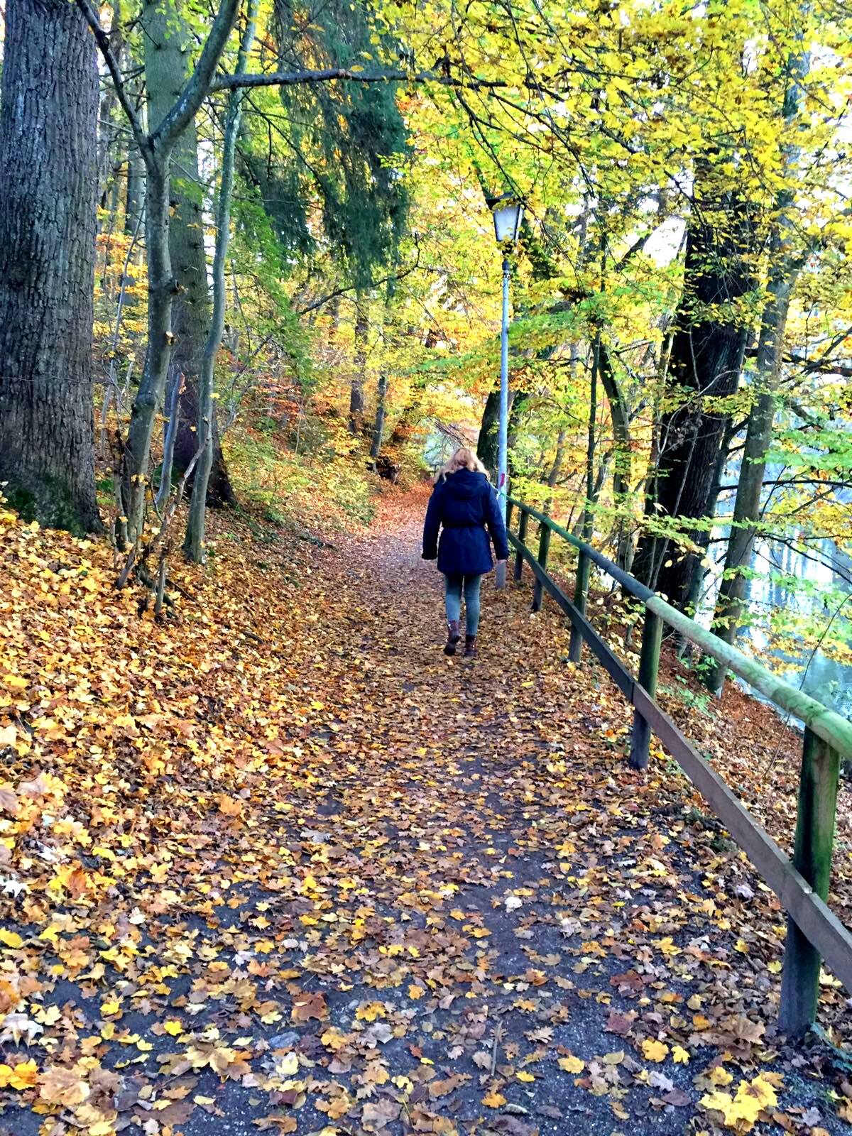 Je Ne Regrette Rien 2016